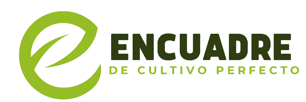 E-cultivo